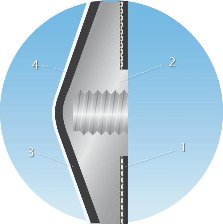 diaphragm cross section.en