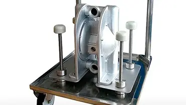 Sanitary pump for mushrooms transfer