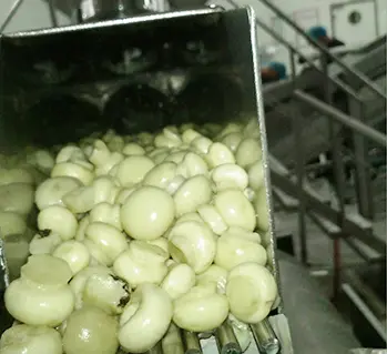 Гигиенический мембранный насос T825 ST-5SF